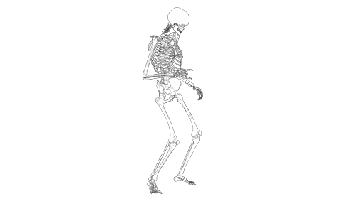 Cartoon Skeleton Dance Side 