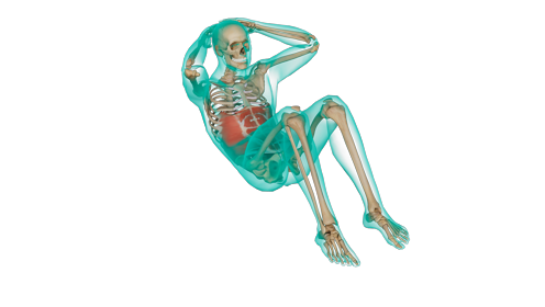 Excercise Crunches Quarter 