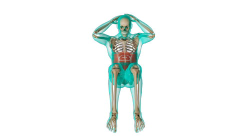 Excercise Crunches Top 