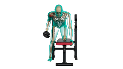 Excercise Tricep Kickback Front 