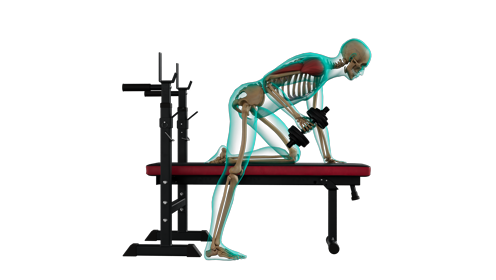 Excercise Tricep Kickback Side 
