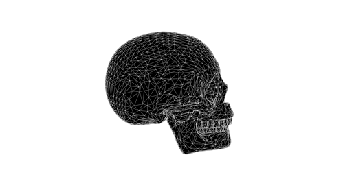 Glitchy Skull Spin 