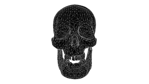 Glitchy Skull Wavy Front 