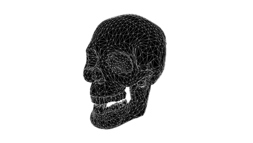 Glitchy Skull Wavy Quarter 