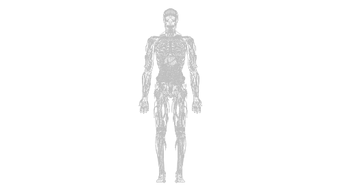 Scifi Hud Element Anatomy2 