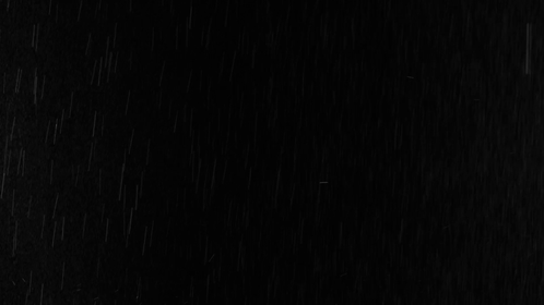 Real Medium Rain 1