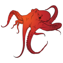 Octopus Graffiti Color
