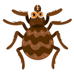 Cartoon Brown Spider Vector EPS