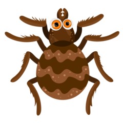 Cartoon Brown Spider Vector EPS