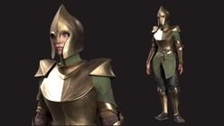 Elf Warrior Female