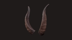 Horns