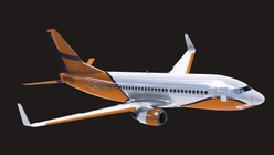 Commercial Airplane