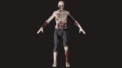 Zombie Rig (FBX + OBJ)
