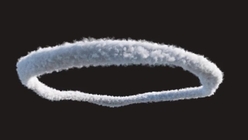 Tornado Component G